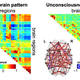 Pattern 1, left, can be distinguished from pattern 4, right, by the complexity and amount of connections between neurons in certain brain regions important for cognition, the authors say.